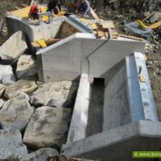 Burgmann Kandidus - Foto 2