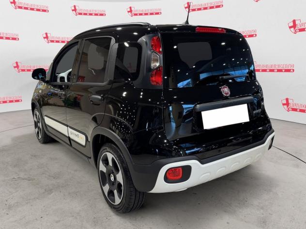 FIAT Panda Panda 1.0 S&S Hybrid Pandina Cross VARI COLORI - Foto 4