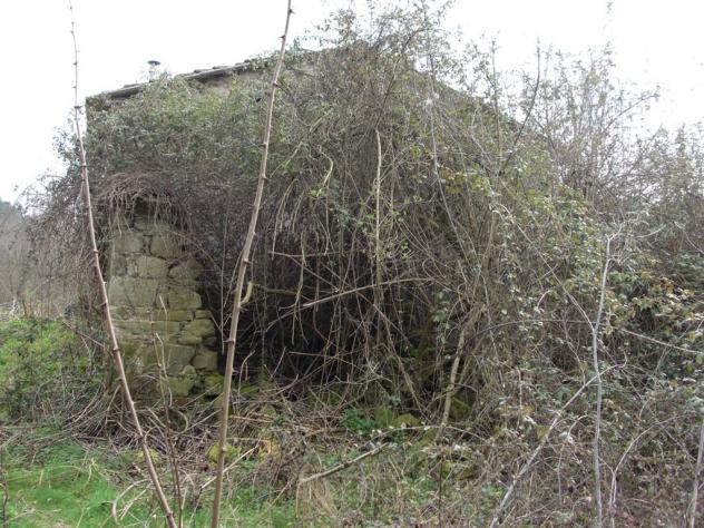 VENDESI COLONICA DA RESTAURARE IN VICCHIO LOCALITA' VIGNALE - Foto 3