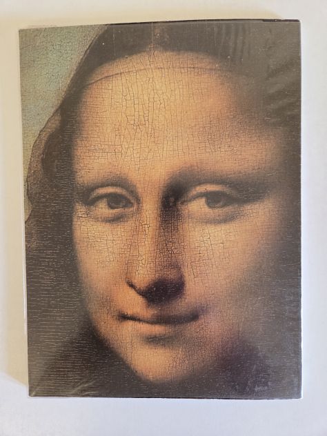 Libro "Leonardo Da Vinci" di Bruno Santi, storia ed opere - Foto 5
