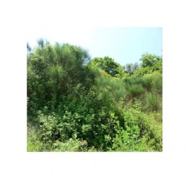 Immobile in asta di 676 m² in vendita a Bettona - Foto 6
