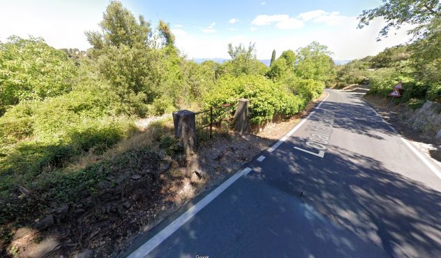 Terreno agricolo a Vetulonia - Foto 2