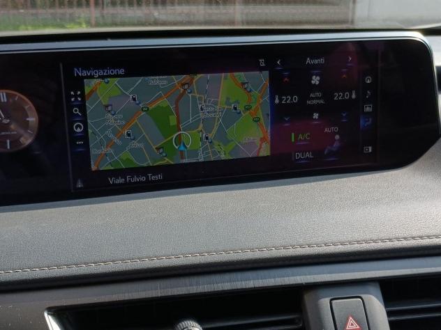 Lexus UX Hybrid Luxury 2WD - Foto 10