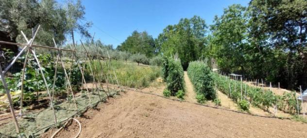 Immobile in asta di 2983 m² in vendita a Bellante - Foto 3