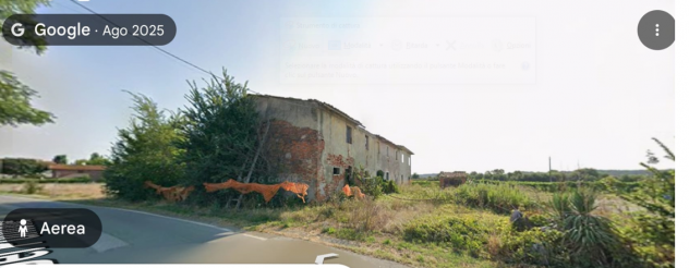 Casale in vendita a Bientina 213 mq Rif: 1420630