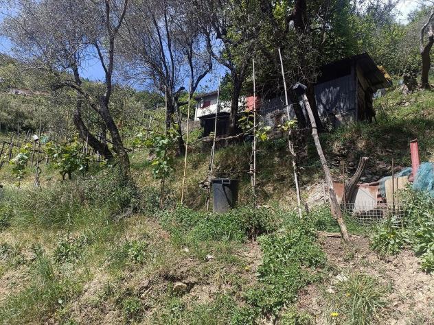 Terreno agricolo in vendita a Fontia - Carrara 3000 mq Rif: 798593 - Foto 7