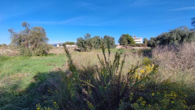 Terreno Agricolo di mq 7000 in strada per Floridia - Foto 3