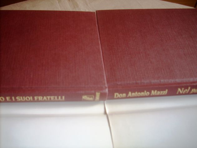 Don Antonio Mazzi - Foto 5