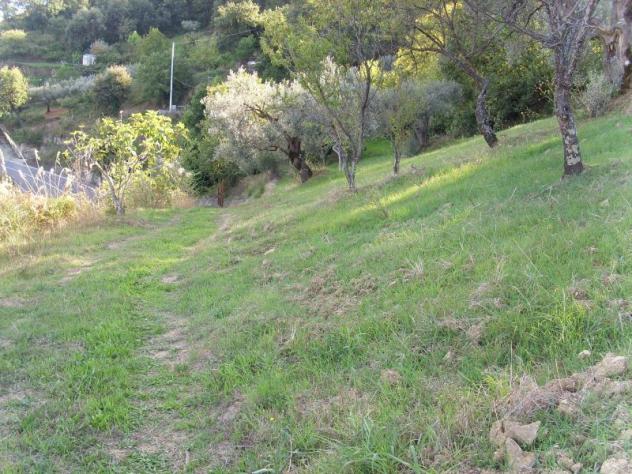 Agricolo in SS18 - Foto 3