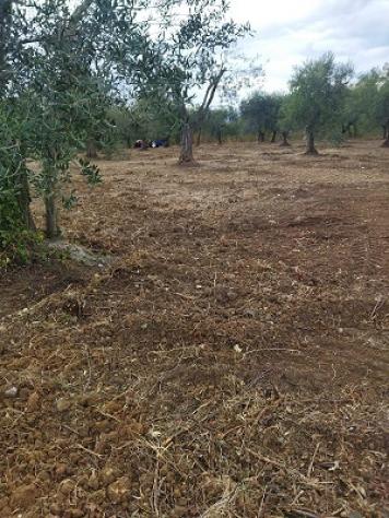 Terreno edificabile in vendita a Filetto - Foto 3
