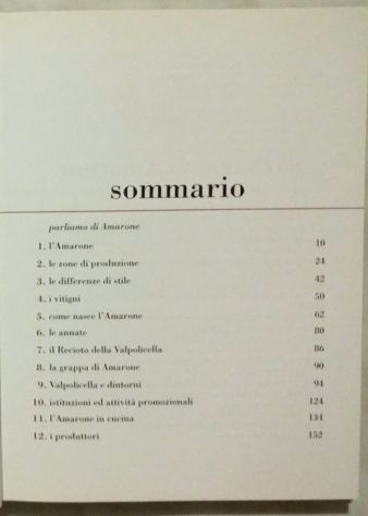 L'Amarone di Patricia Guy; Morganti Editore, Sommacampagna  2000 come nuovo - Foto 2