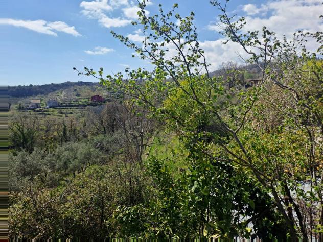 Terreno in vendita a Mascali, Montargano - Foto 3