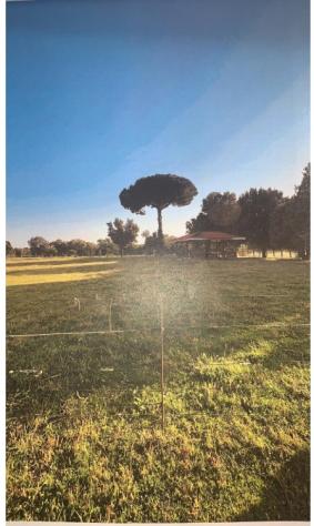 Stabile/Palazzo - Latina . Rif.: Cod. rif 3321550VRG - Foto 5