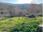 Immobile in asta di 34322 m² in vendita a Bucine
