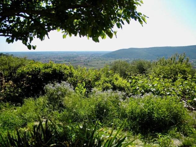 Rustico in vendita a Rigoli - San Giuliano Terme 720 mq Rif: 1047099 - Foto 5