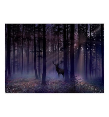 Fotomurale Adesivo Con Un Cervo Nella Notte Arredalacasa - Foto 2