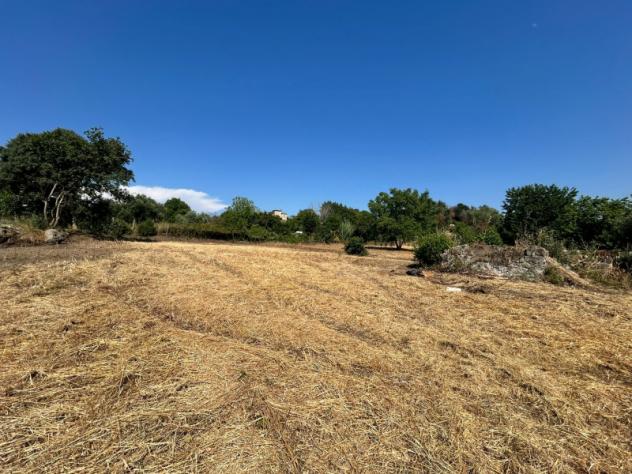 Agricolo in Vicolo Sant'Antonio in Canepine - Foto 2
