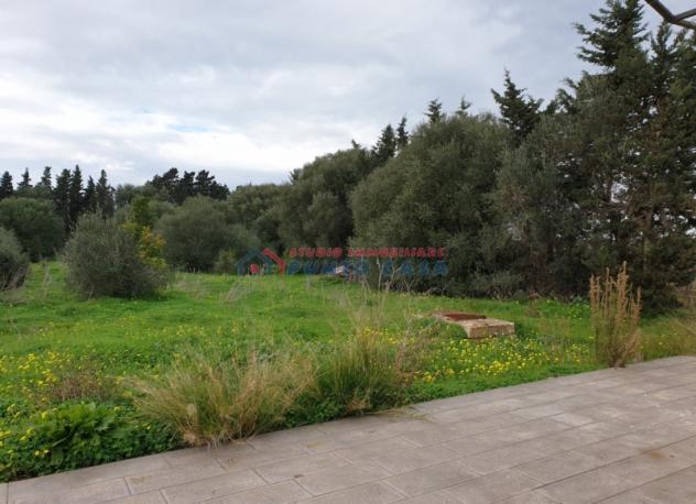LOCOGRANDE – Terreno agricolo di 6.000 mq ca. Euro 15mila - Foto 3