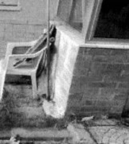 Immobile in asta di 123 m² con più di 5 locali in vendita a Campobasso - Foto 13