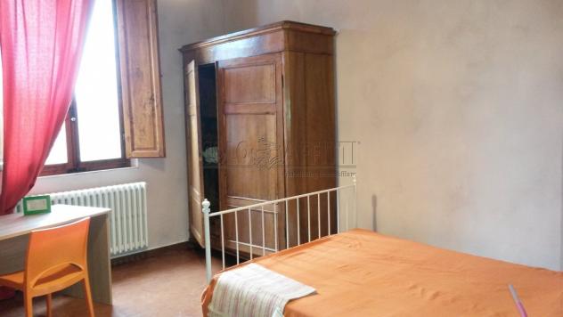 Stanza in appartamento in affitto a Siena