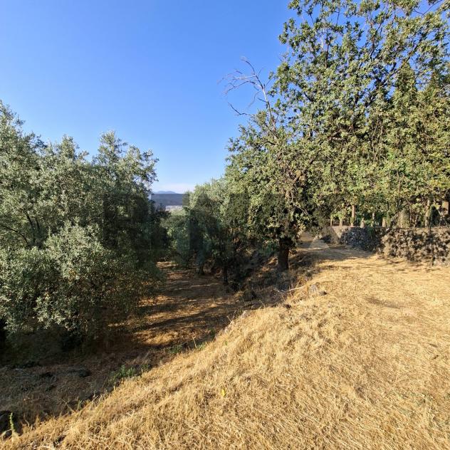 Terreno in vendita a Castiglione di Sicilia - Foto 10