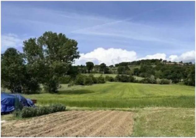 Immobile in asta di 10706 m² in vendita a Gubbio - Foto 14