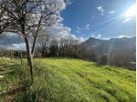 Area verde in vendita a Novafeltria