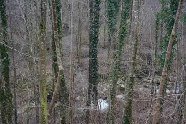 Immobile in asta di 6196 m² in vendita a Valli del Pasubio - Foto 5
