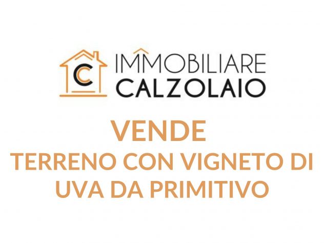 VENDITA TERRENO CON VIGNETO C.DA MONTEVERDE GROTTAGLIE