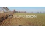 Terreno di 27420 mq  in vendita a Nogara - Rif. 4556801