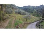 1 LOTTO DI TERRENO AGRICOLO