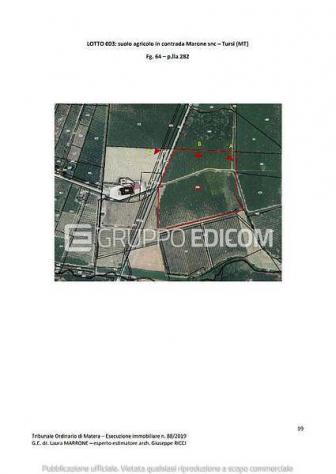 Terreno in vendita a Tursi - Rif. 4557909