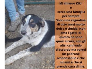Kiki in adozione
