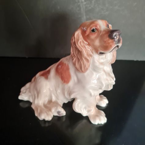 Cane porcellana di Meissen - Foto 5