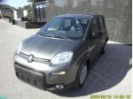 FIAT Panda 1.0 FireFly S&S Hybrid rif. 24044146