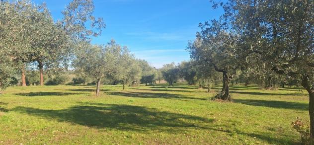 Magazzino in vendita a Loreto Aprutino - Foto 13