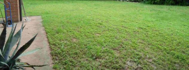 Immobile in asta di 388 m² con più di 5 locali in vendita a Borghetto Lodigiano - Foto 2