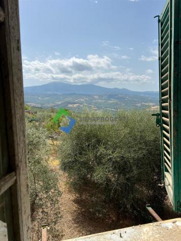 Appartamento terra tetto a Castelnuovo dell’Abate, Montalcino, Siena. - Foto 9