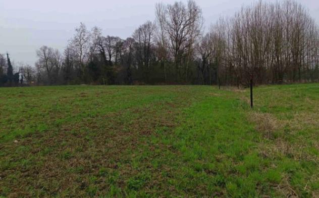 Immobile in asta di 105 m², box auto doppio in vendita a Robecchetto con Induno - Foto 4
