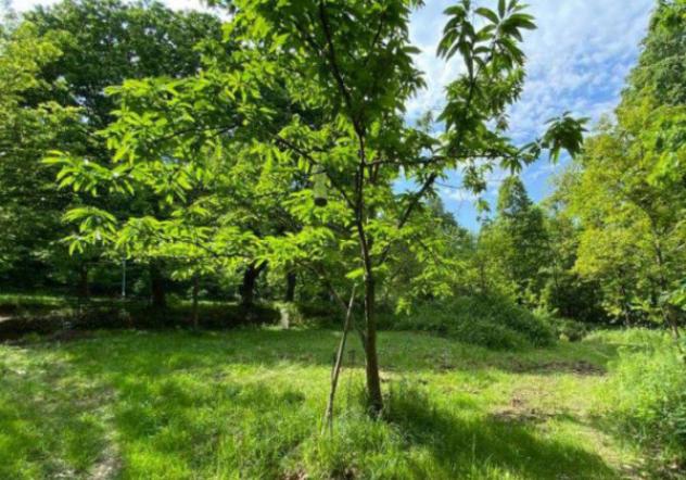 Immobile in asta di 6 m² in vendita a Bisuschio - Foto 3