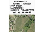 Terreni