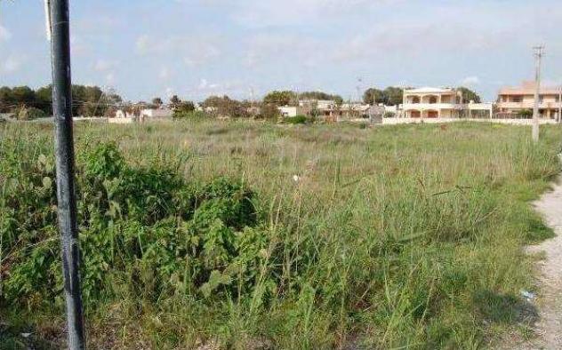 1823 - In vendita a Marsala terreno vista mare - Foto 5