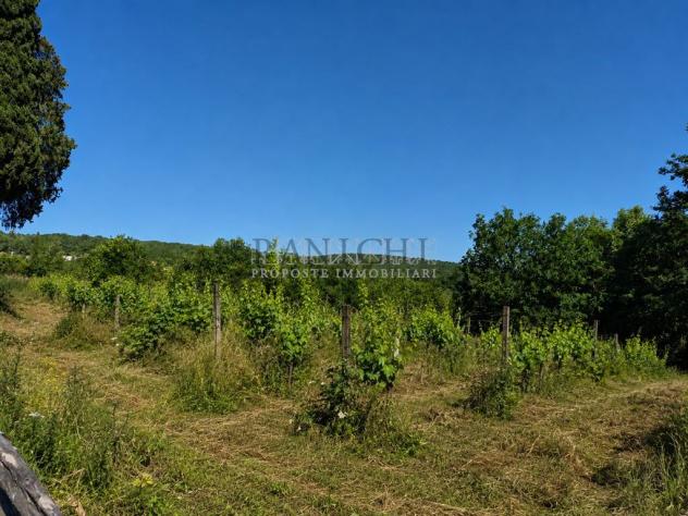 Terreno agricolo con magazzino e pozzo - Foto 9