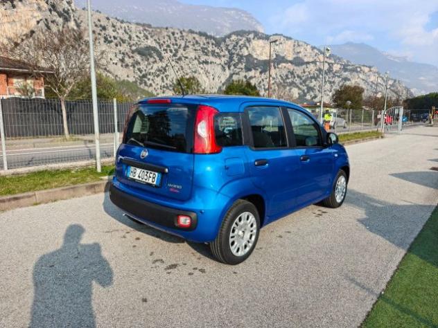 FIAT Panda 1.0 FireFly S&S Hybrid Pop rif. 23302510 - Foto 5