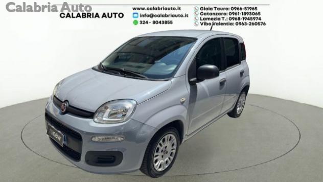 FIAT Panda 1.0 FireFly S&S Hybrid rif. 23935562