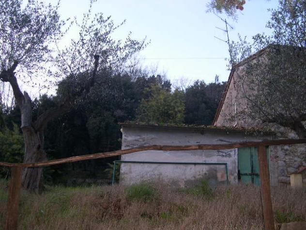 Colonica in vendita a Lustignano - Pomarance 400 mq Rif: 280197 - Foto 4