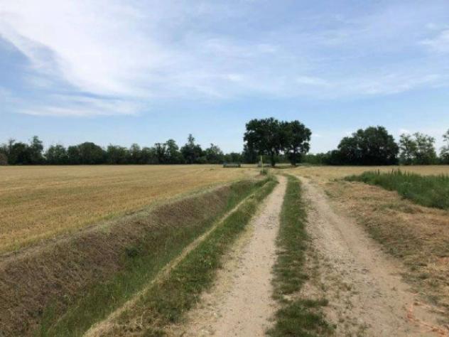 Immobile in asta di 91078 m² in vendita a Fombio - Foto 3