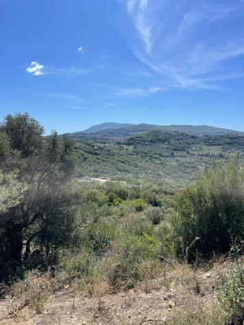 Agricolo in Via Nazionale - Foto 12