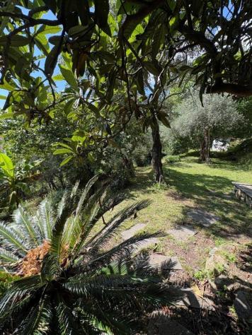Villa a schiera in vendita a Massa - Foto 2