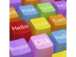 LEZIONI INGLESE TEDESCO FRANCESE ITALIANO A Pinarella  traduzioni